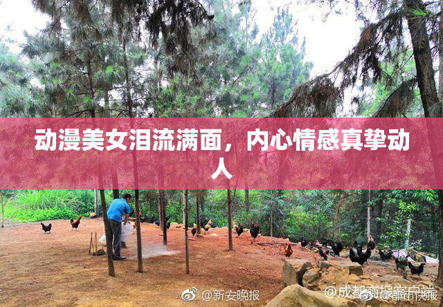 动漫美女泪流满面，内心情感真挚动人