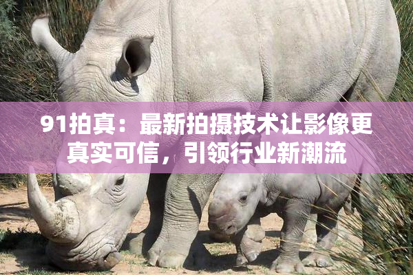 91拍真：最新拍摄技术让影像更真实可信，引领行业新潮流