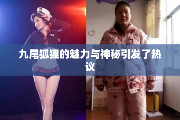 九尾狐狸的魅力与神秘引发了热议