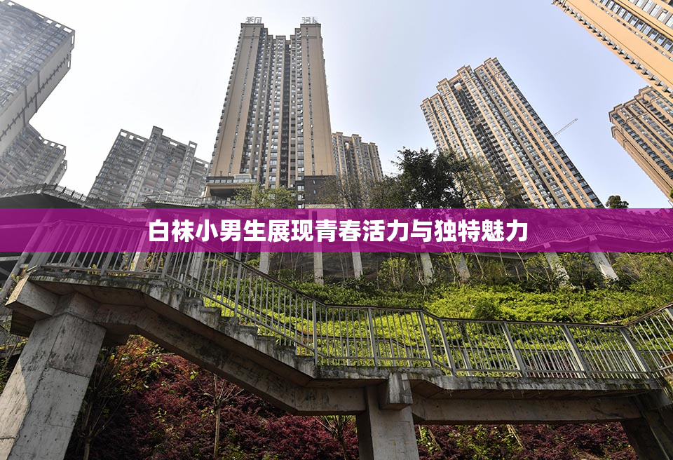 白袜小男生展现青春活力与独特魅力