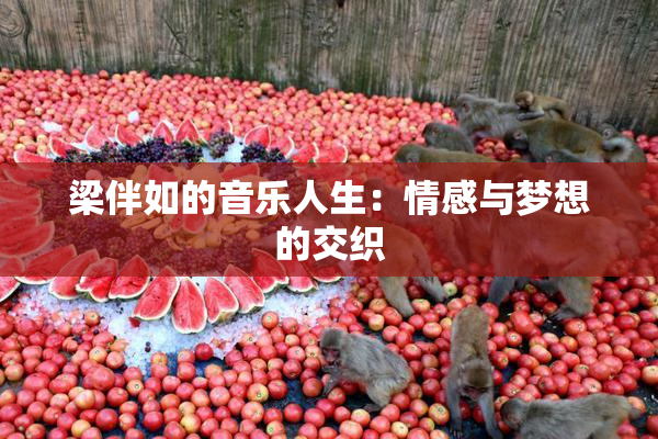 梁伴如的音乐人生：情感与梦想的交织