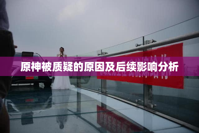 原神被质疑的原因及后续影响分析