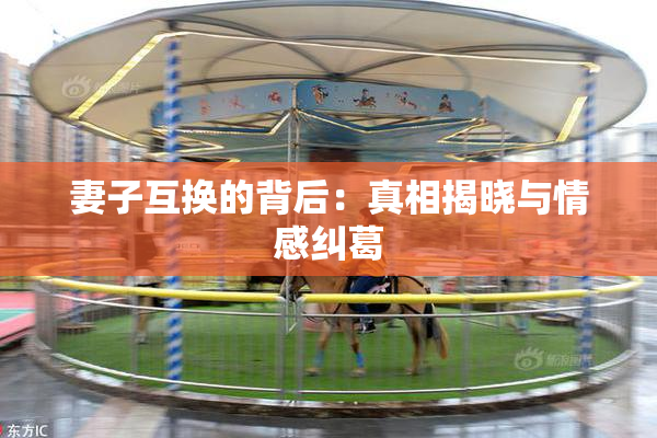 妻子互换的背后：真相揭晓与情感纠葛