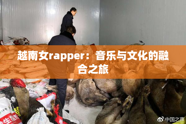 越南女rapper：音乐与文化的融合之旅