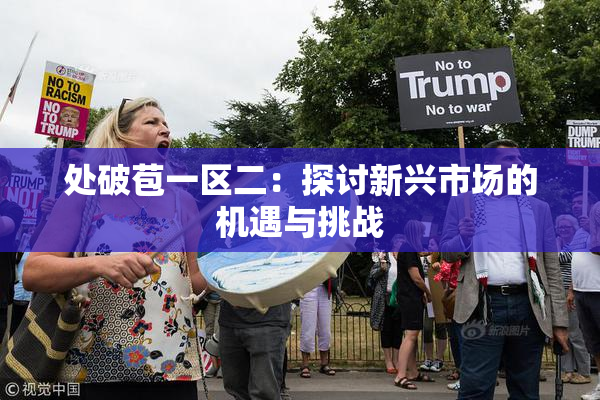 处破苞一区二：探讨新兴市场的机遇与挑战