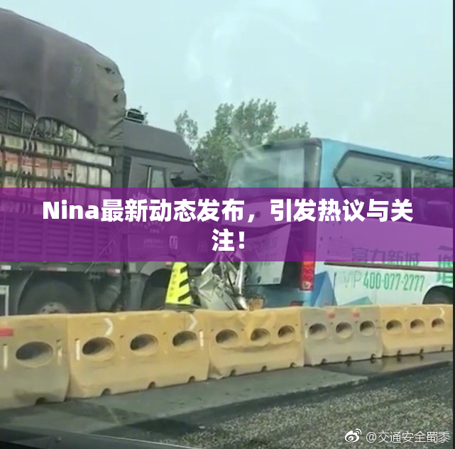Nina最新动态发布，引发热议与关注！