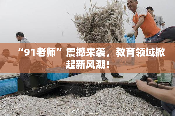 “91老师”震撼来袭，教育领域掀起新风潮！