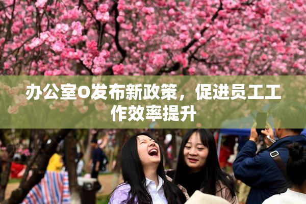 办公室O发布新政策，促进员工工作效率提升