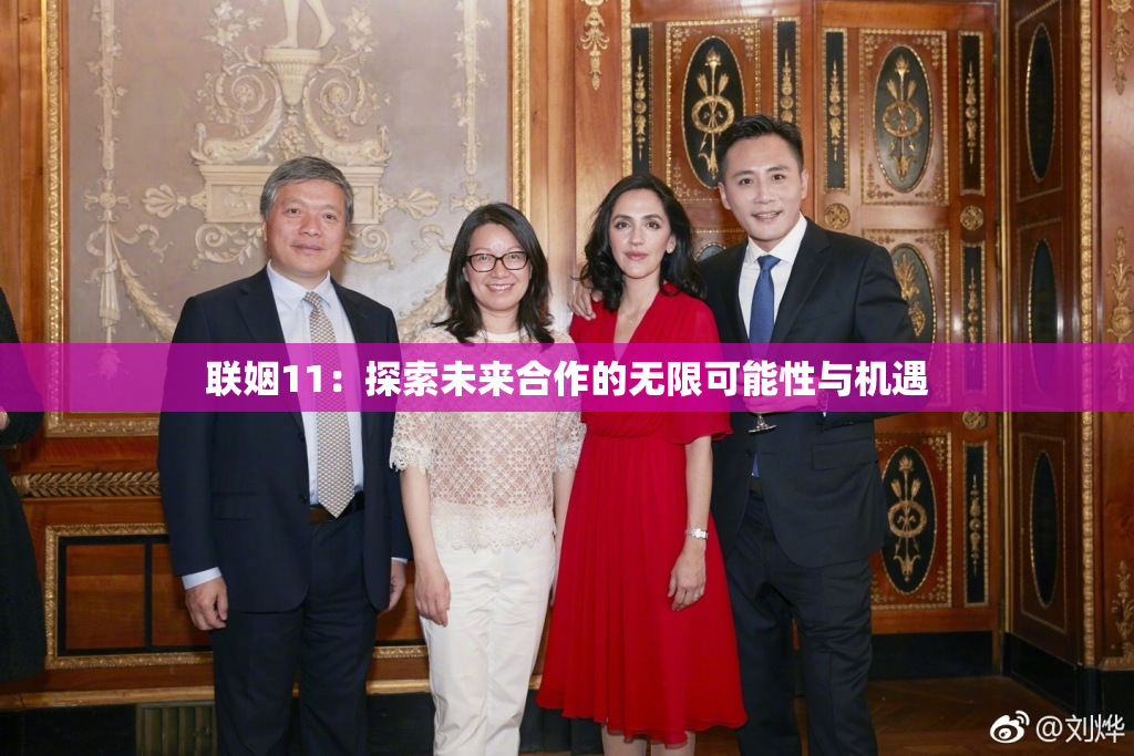 联姻11：探索未来合作的无限可能性与机遇