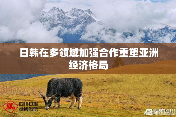 日韩在多领域加强合作重塑亚洲经济格局