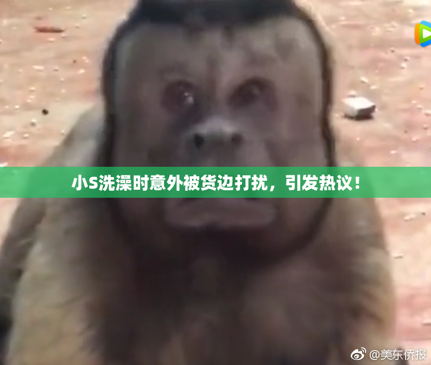 小S洗澡时意外被货边打扰，引发热议！
