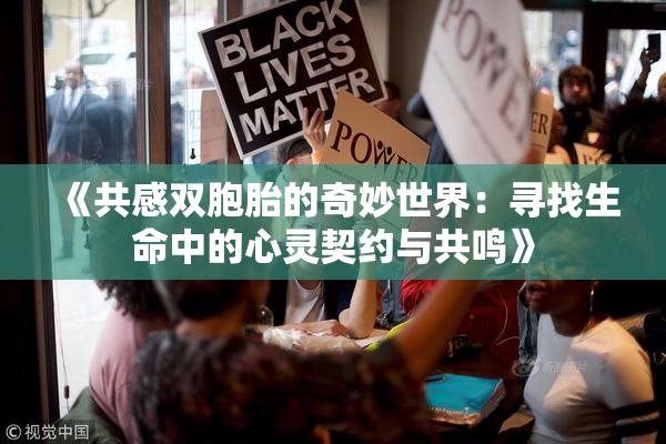 《共感双胞胎的奇妙世界：寻找生命中的心灵契约与共鸣》