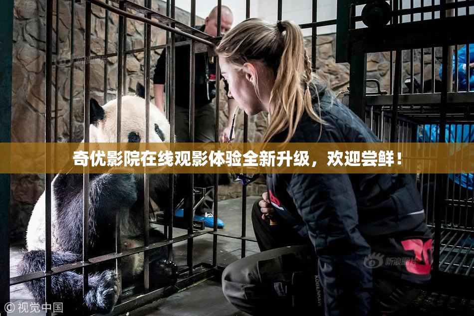 奇优影院在线观影体验全新升级，欢迎尝鲜！