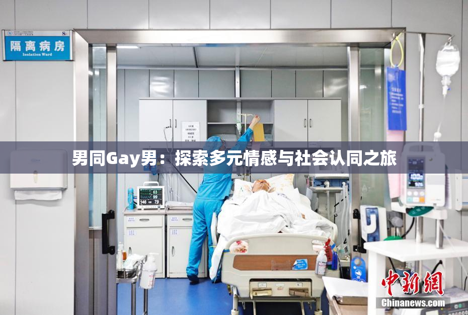 男同Gay男：探索多元情感与社会认同之旅