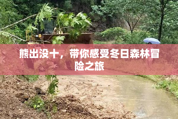 熊出没十，带你感受冬日森林冒险之旅