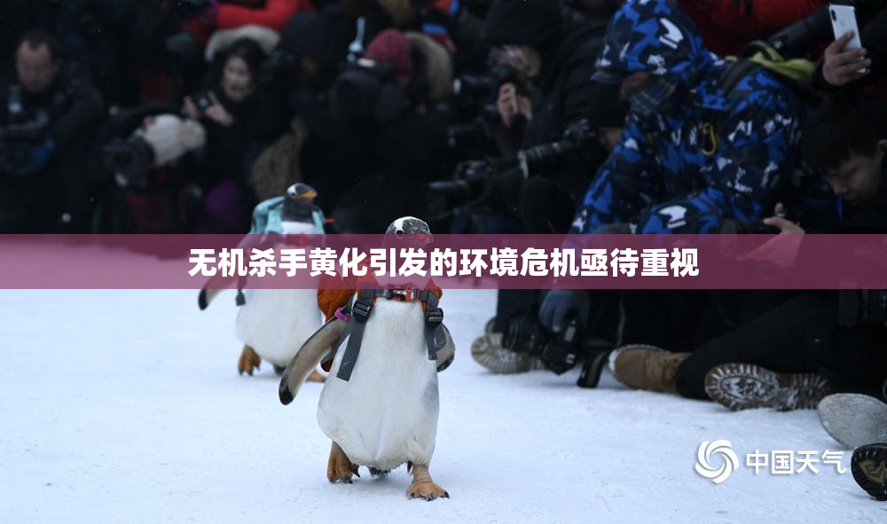 无机杀手黄化引发的环境危机亟待重视