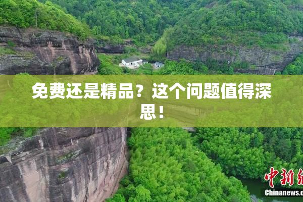 免费还是精品？这个问题值得深思！