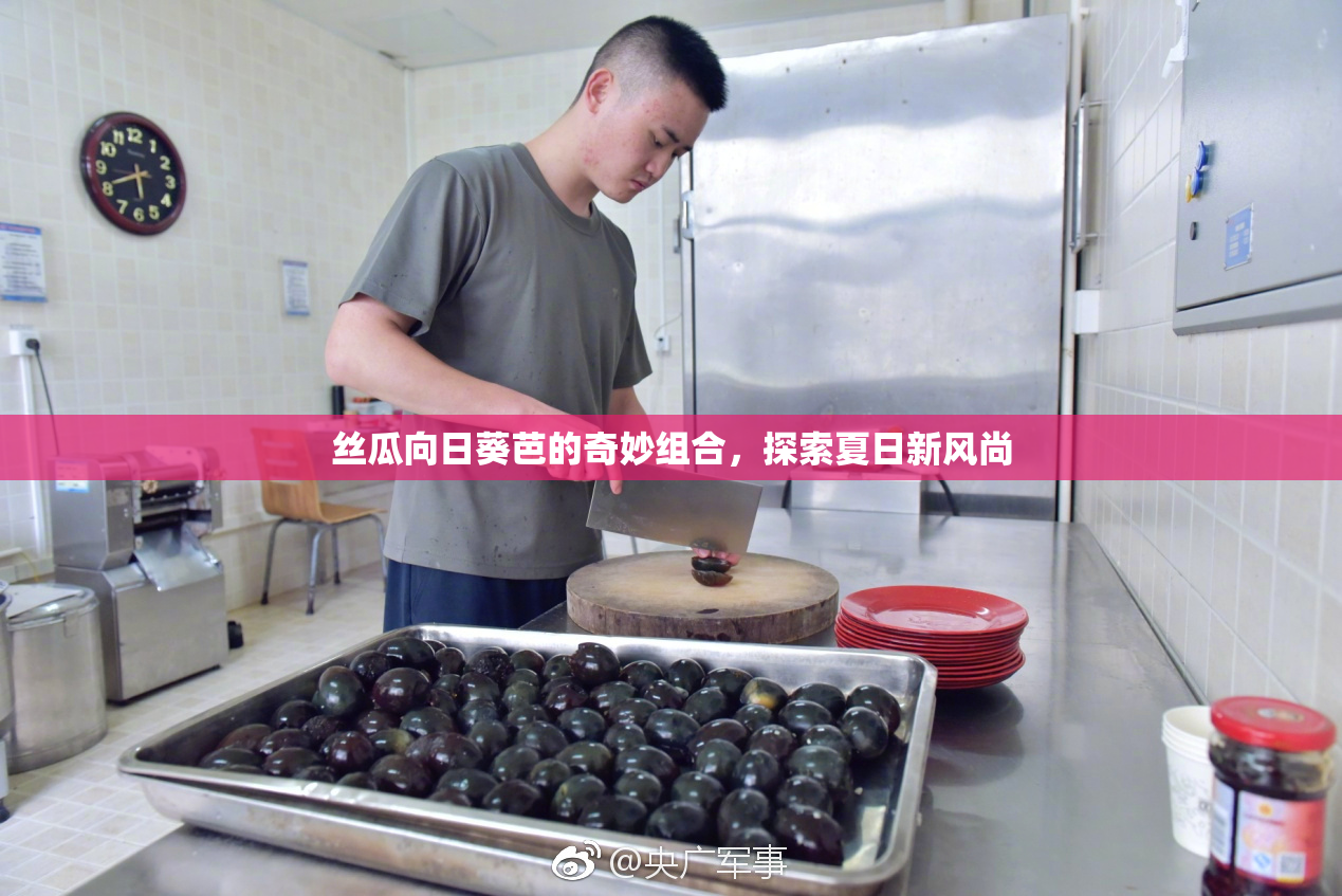 丝瓜向日葵芭的奇妙组合，探索夏日新风尚