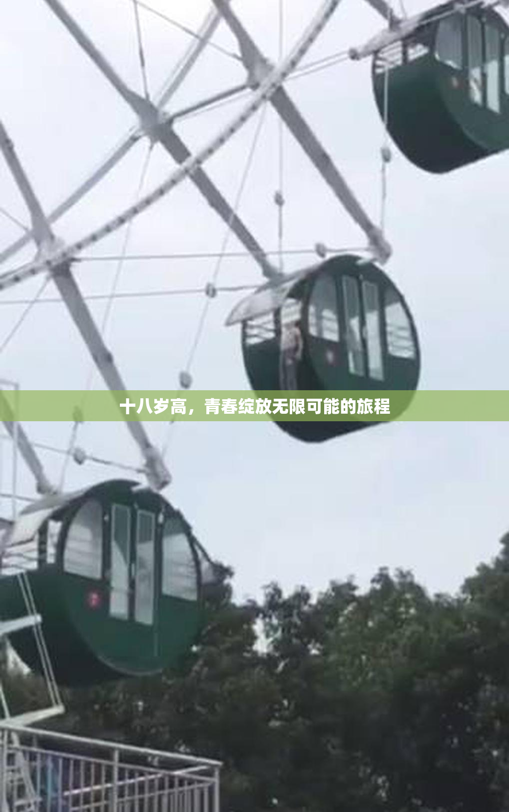 十八岁高，青春绽放无限可能的旅程