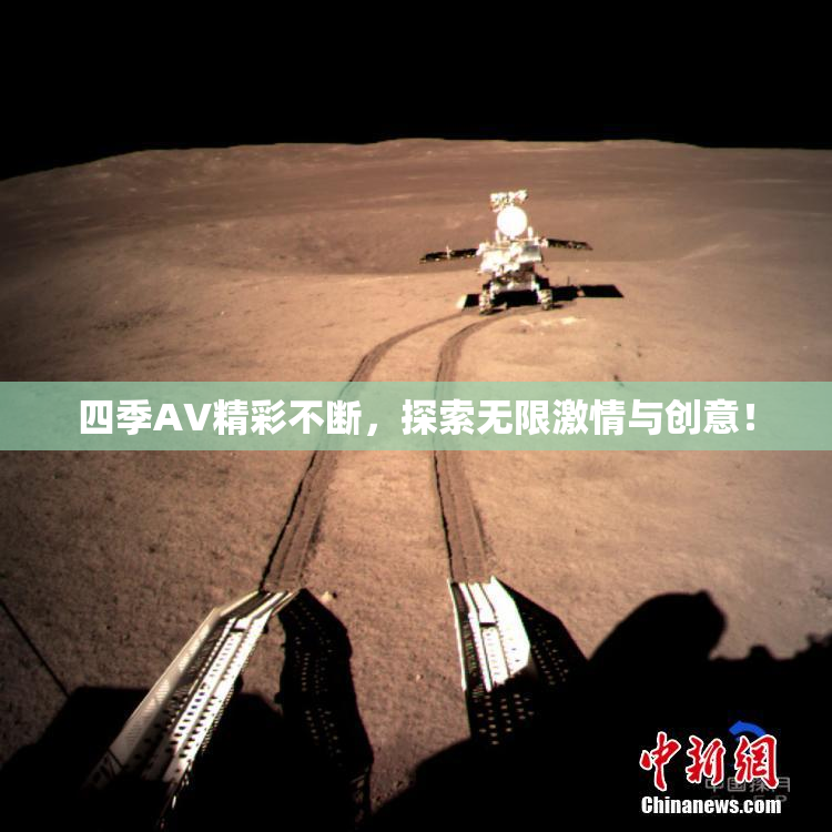 四季AV精彩不断，探索无限激情与创意！