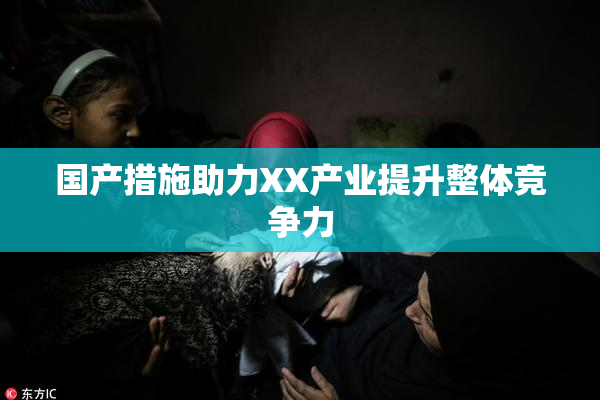 国产措施助力XX产业提升整体竞争力