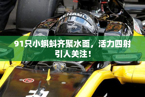 91只小蝌蚪齐聚水面，活力四射引人关注！