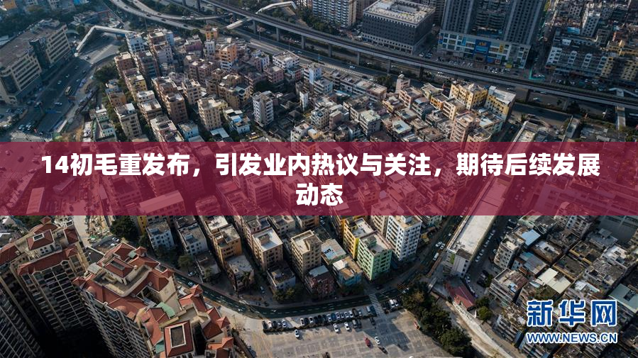 14初毛重发布，引发业内热议与关注，期待后续发展动态