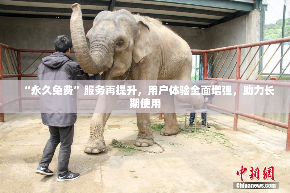 “永久免费”服务再提升，用户体验全面增强，助力长期使用