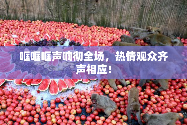 哐哐哐声响彻全场，热情观众齐声相应！