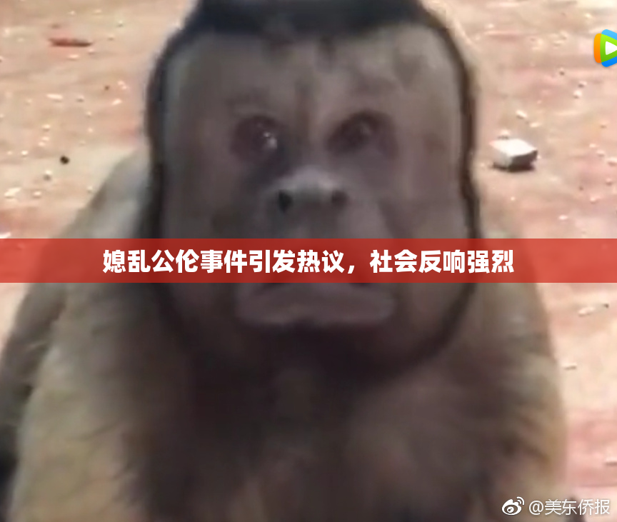 媳乱公伦事件引发热议，社会反响强烈