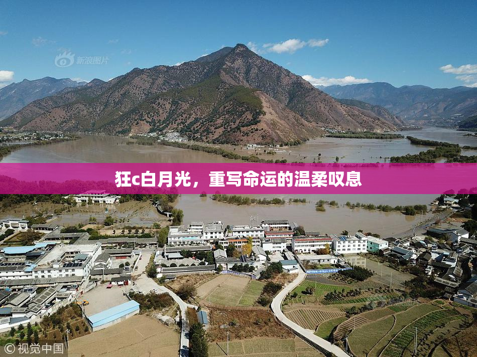 狂c白月光，重写命运的温柔叹息