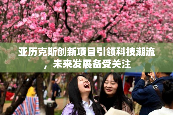 亚历克斯创新项目引领科技潮流，未来发展备受关注