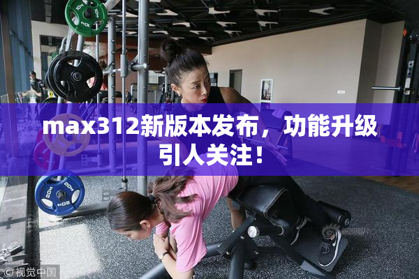 max312新版本发布，功能升级引人关注！