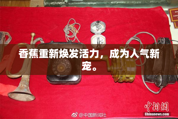 香蕉重新焕发活力，成为人气新宠。