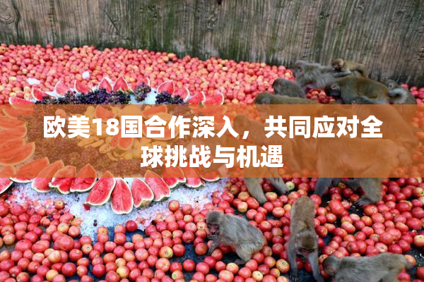 欧美18国合作深入，共同应对全球挑战与机遇