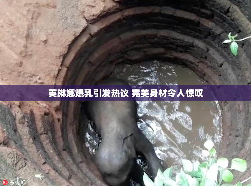 芙琳娜爆乳引发热议 完美身材令人惊叹