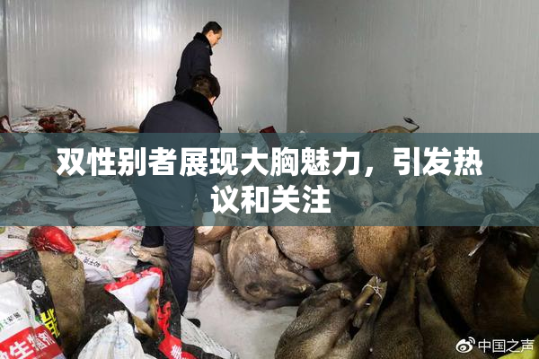 双性别者展现大胸魅力，引发热议和关注