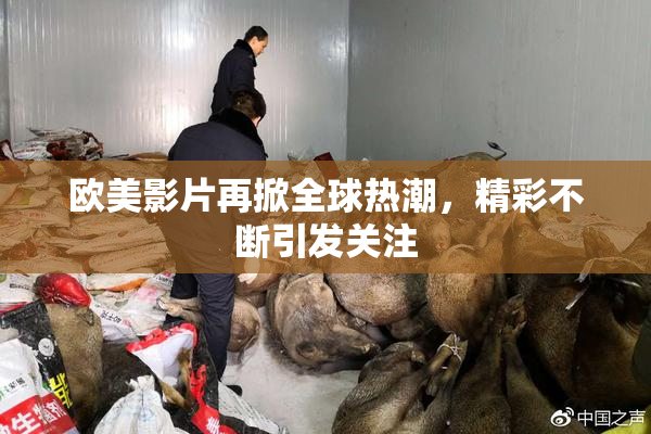 欧美影片再掀全球热潮，精彩不断引发关注