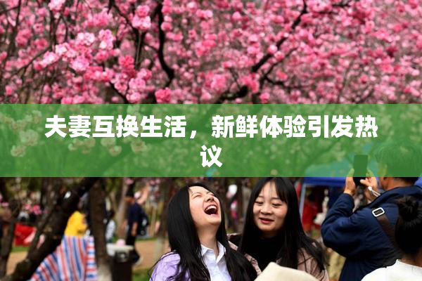 夫妻互换生活，新鲜体验引发热议