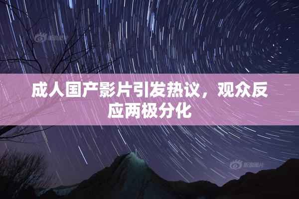 成人国产影片引发热议，观众反应两极分化