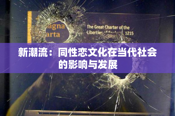 新潮流：同性恋文化在当代社会的影响与发展