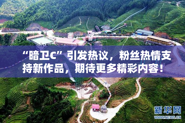 “暗卫C”引发热议，粉丝热情支持新作品，期待更多精彩内容！