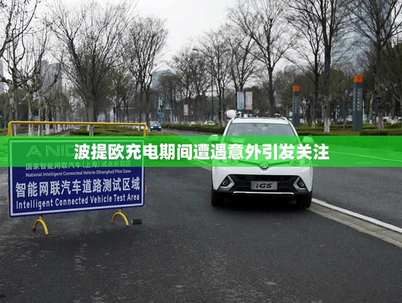 波提欧充电期间遭遇意外引发关注
