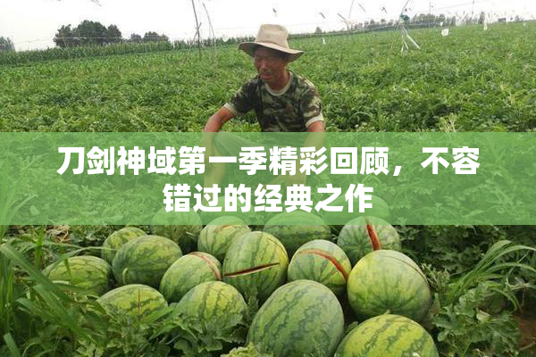 刀剑神域第一季精彩回顾，不容错过的经典之作