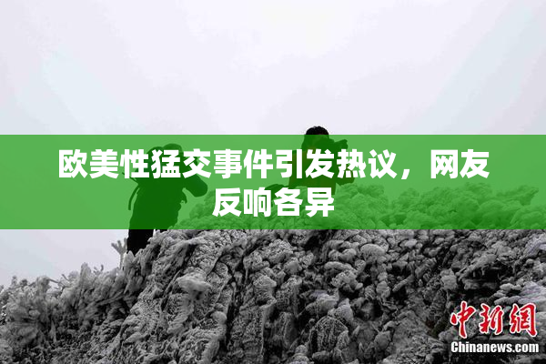 欧美性猛交事件引发热议，网友反响各异