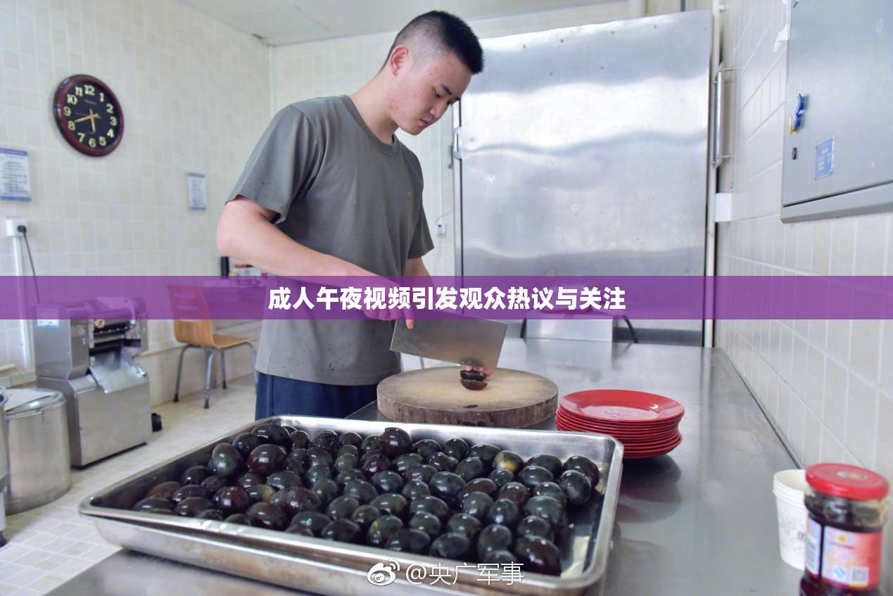 成人午夜视频引发观众热议与关注