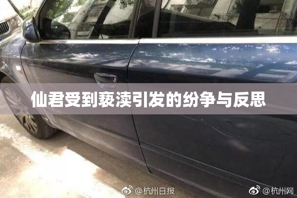 仙君受到亵渎引发的纷争与反思