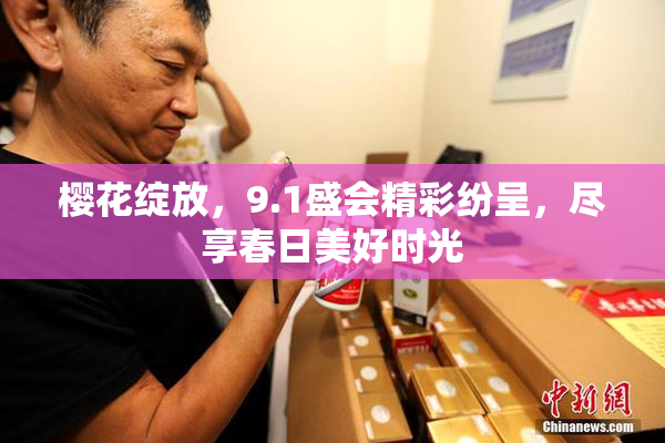 樱花绽放，9.1盛会精彩纷呈，尽享春日美好时光