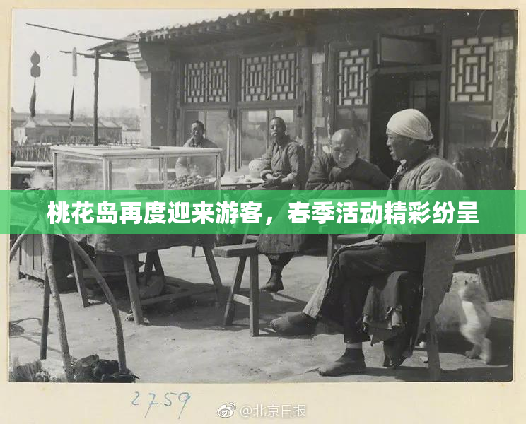 桃花岛再度迎来游客，春季活动精彩纷呈