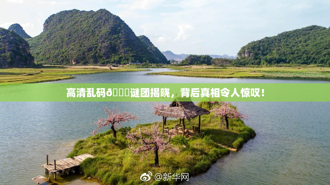 高清乱码🔞谜团揭晓，背后真相令人惊叹！